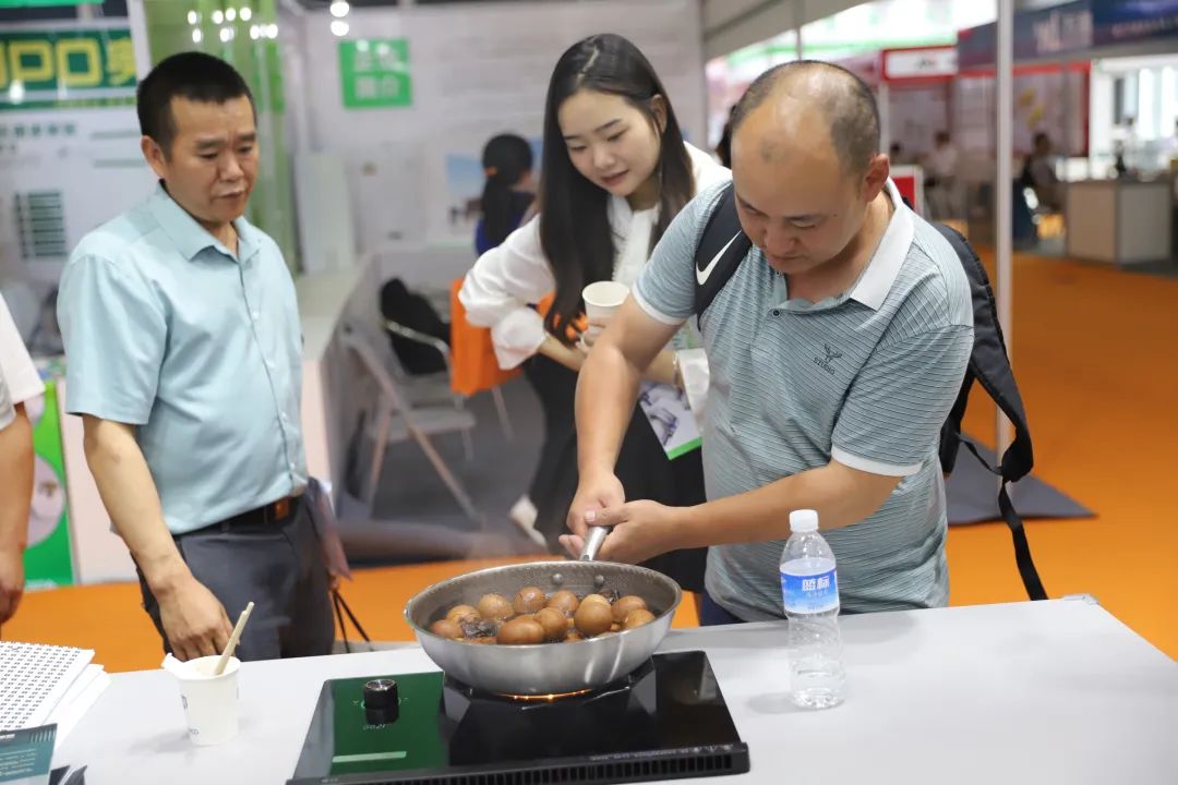 纯电烹饪时代正式启航！板川电能明火点燃未来新格局!